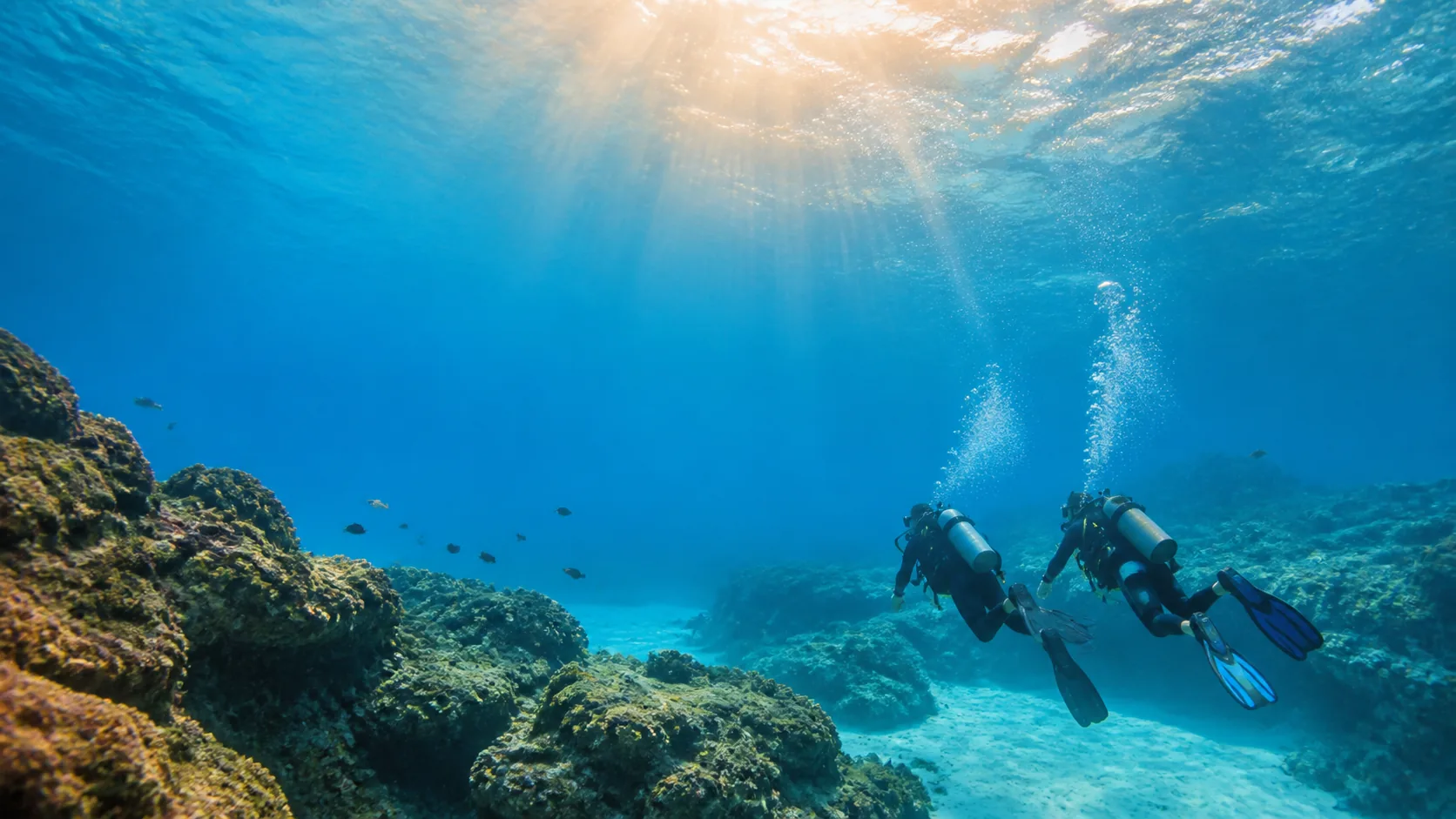 Side kıyılarında scuba diving ve su altı manzarası